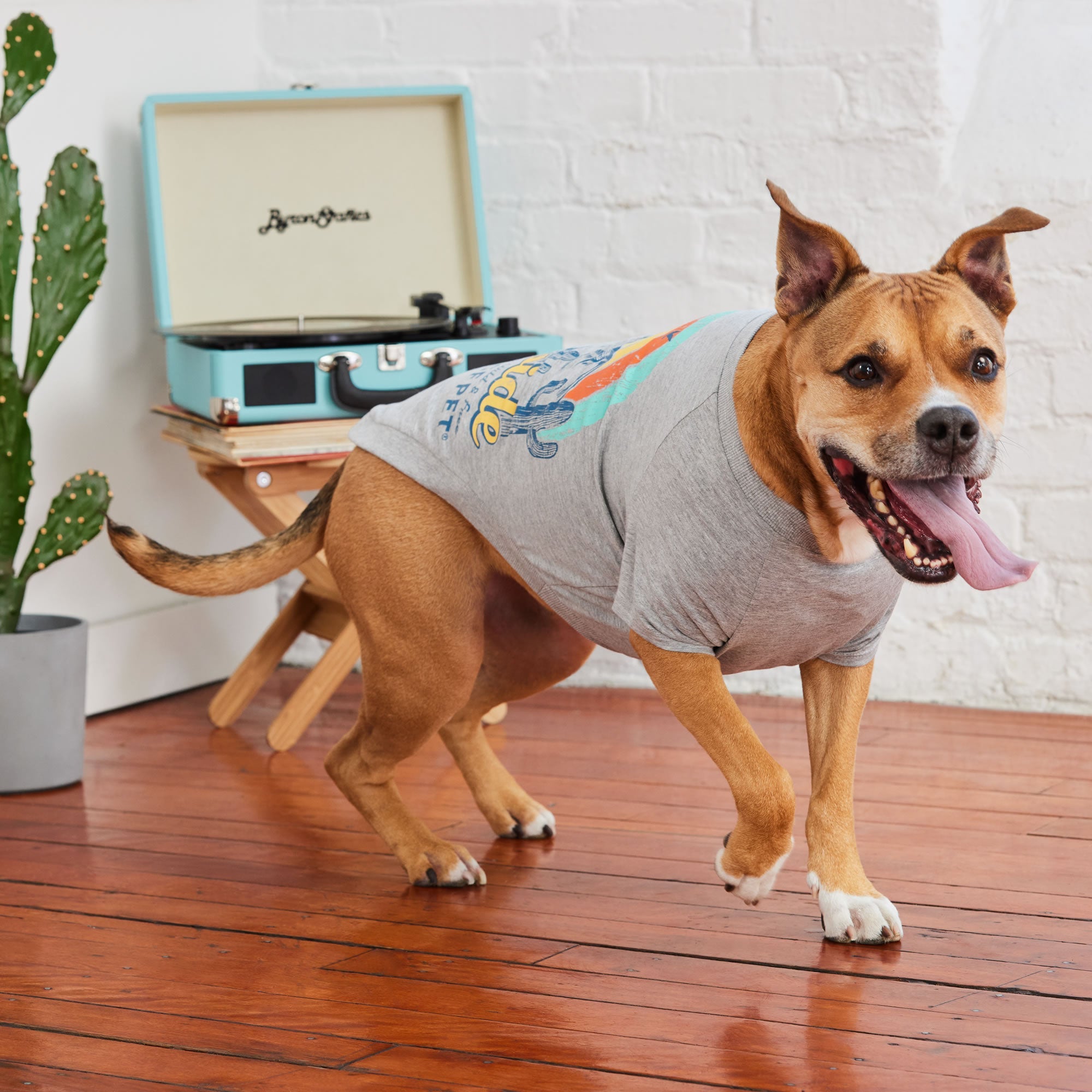 GF PET® Graphic Tee - Grey