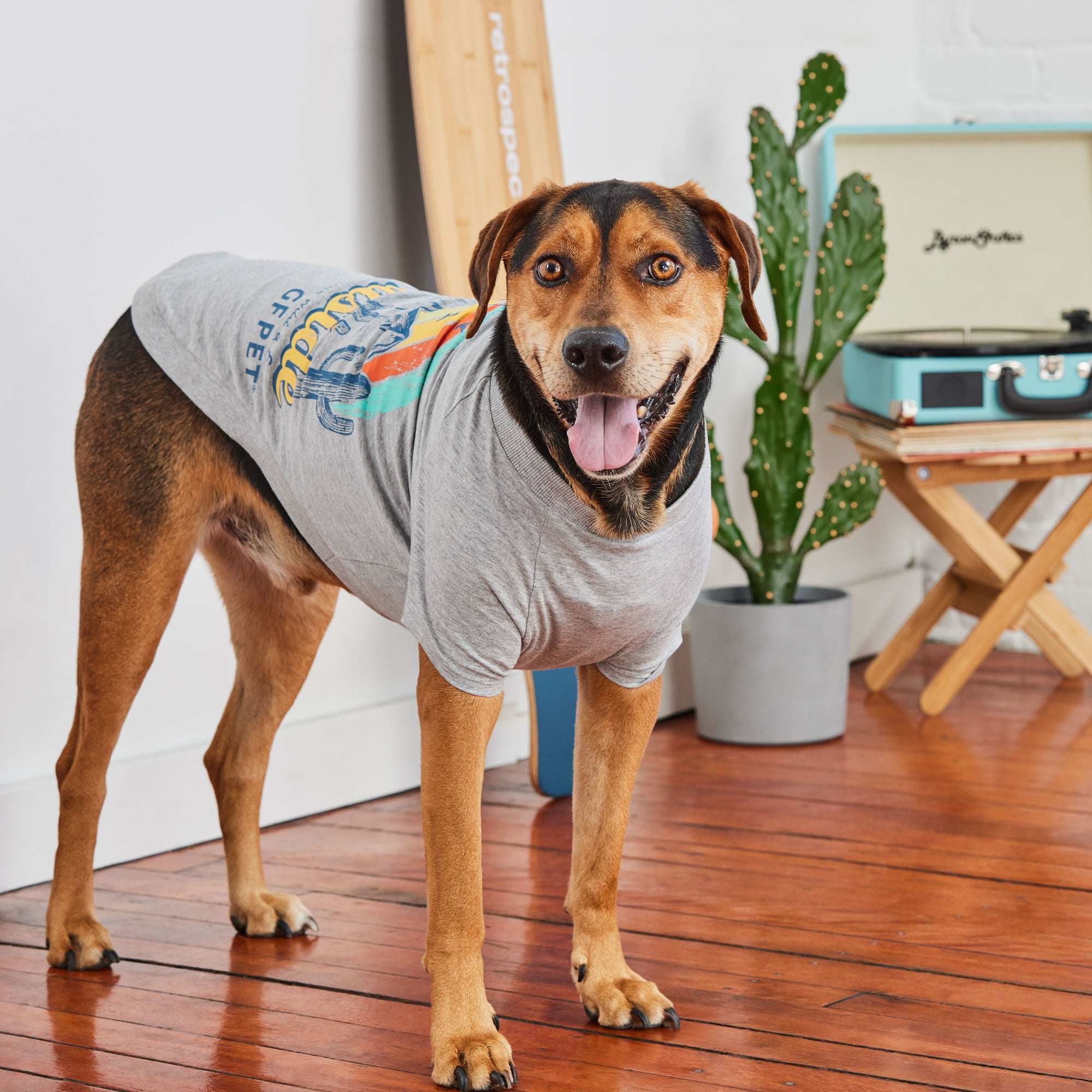 GF PET® Graphic Tee - Grey
