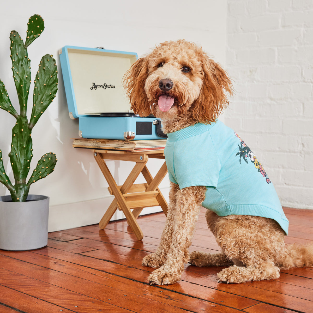 GF PET® Go Outside Graphic Tee