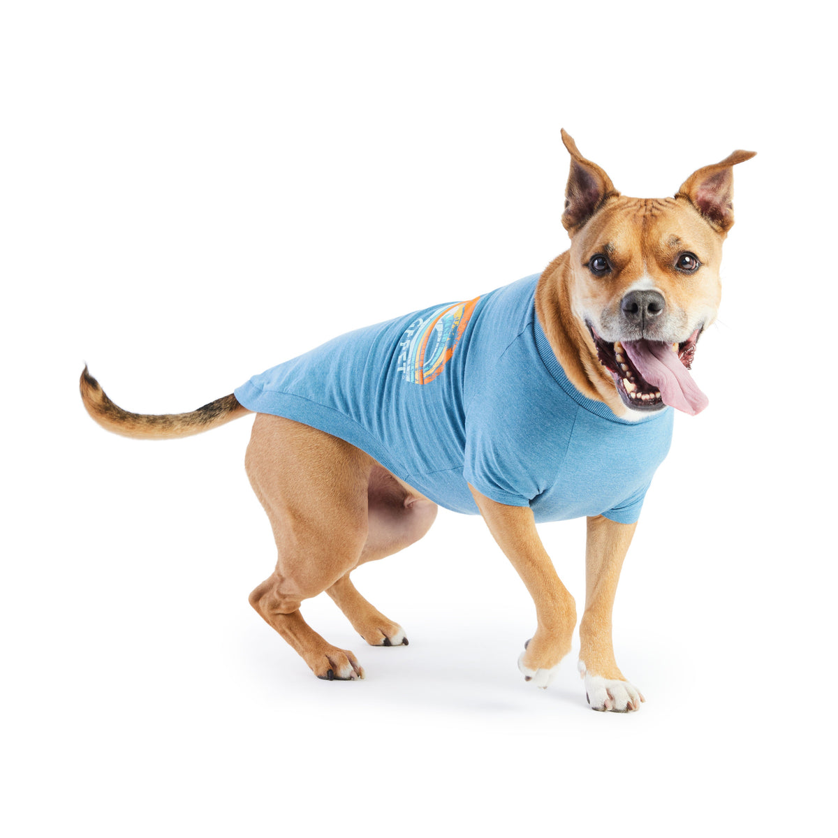 GF PET® Go Outside Graphic Tee