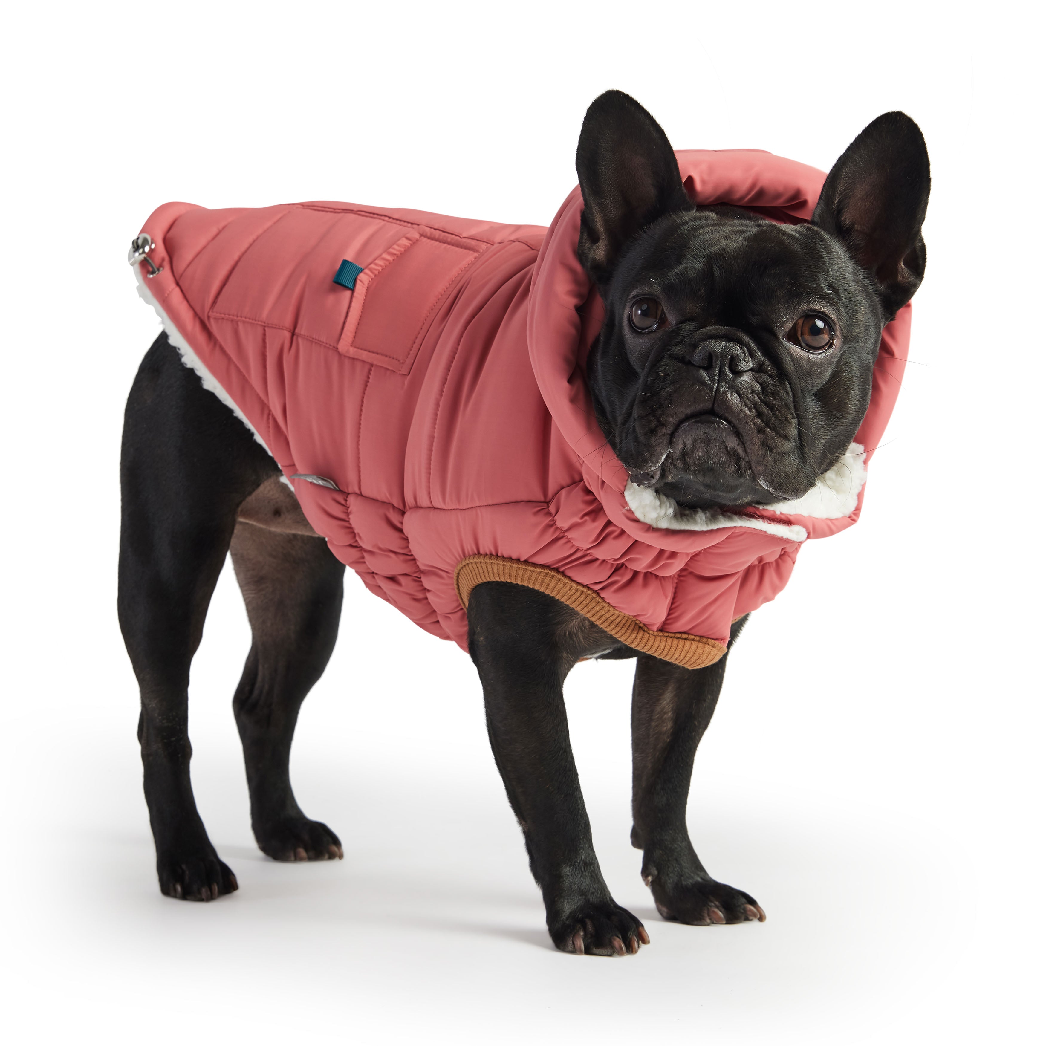 Puff Parka - Pink