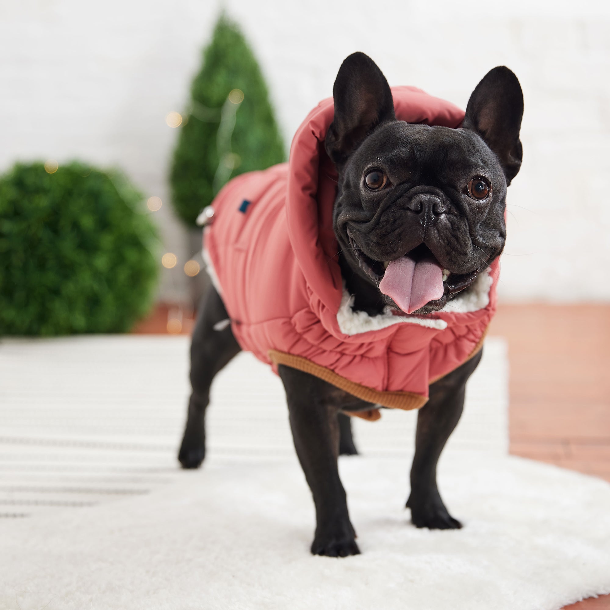 Puff Parka - Pink