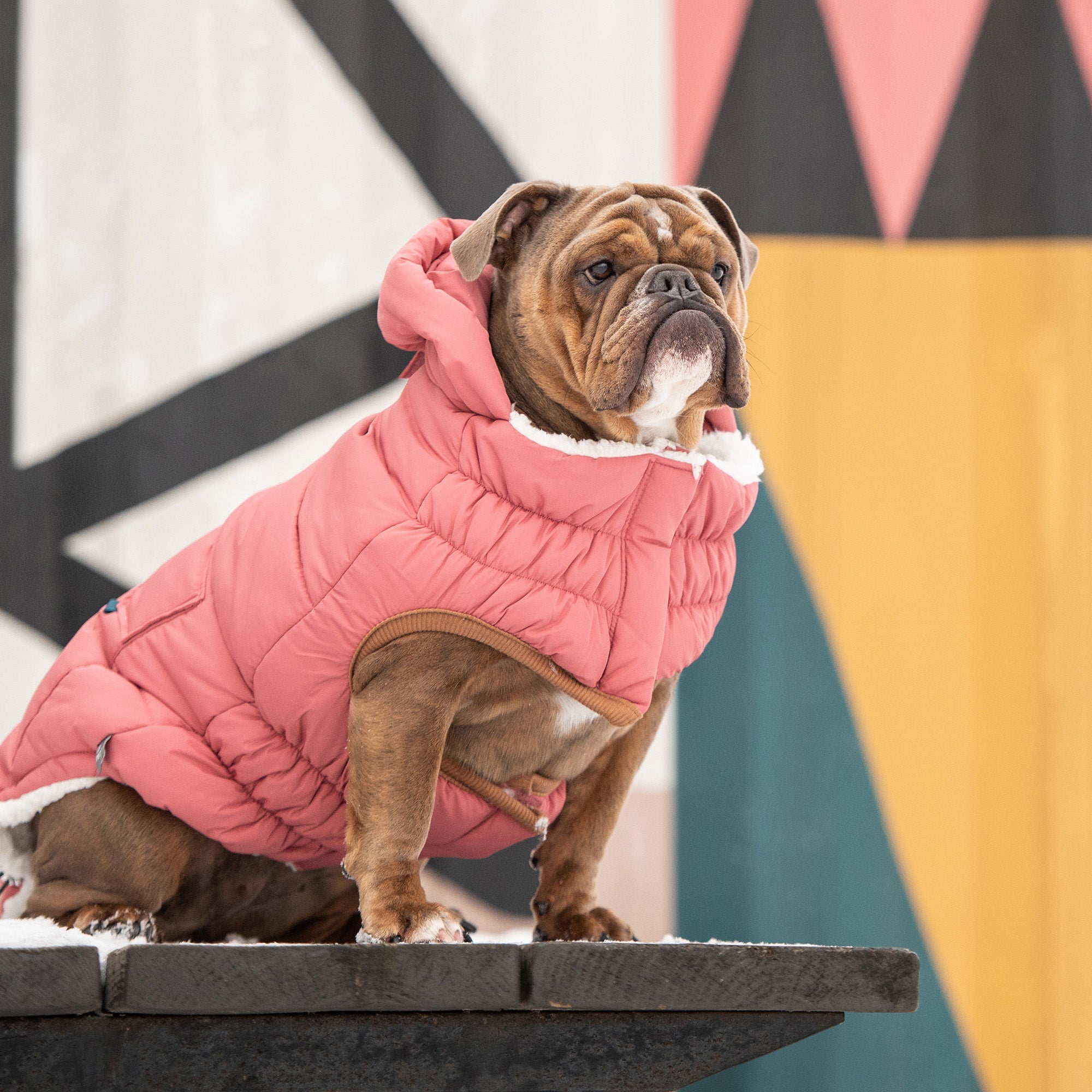 Puff Parka - Pink