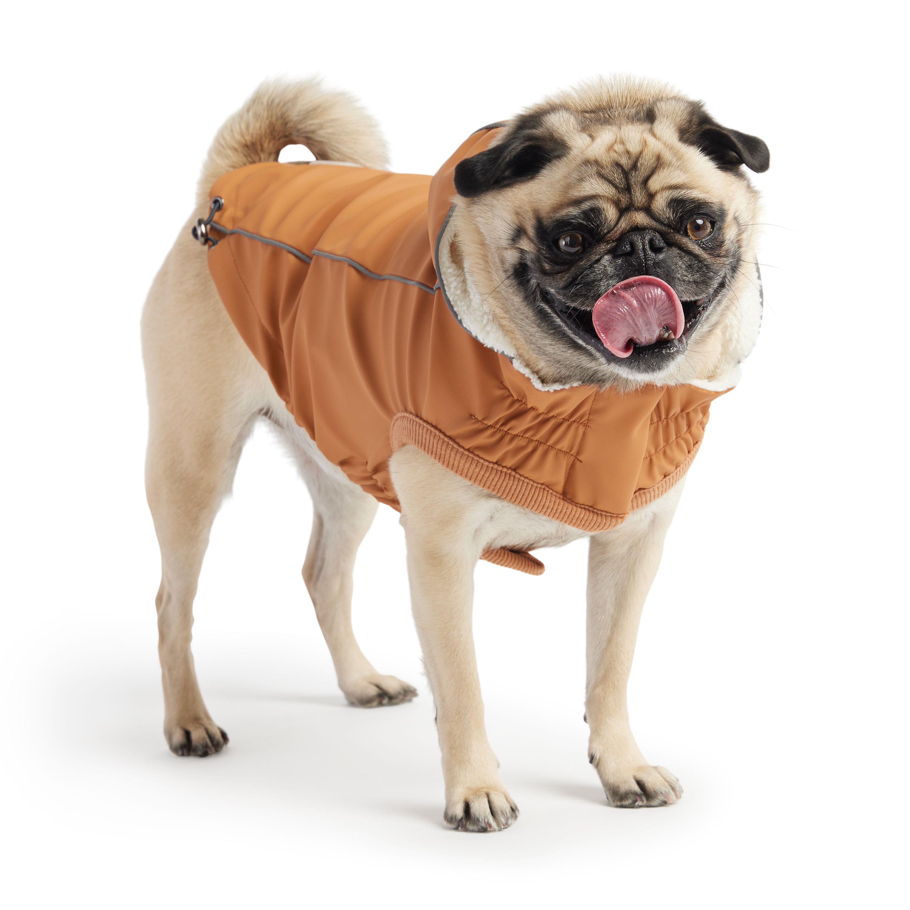 GF PET® Insulated Raincoat - Hazel