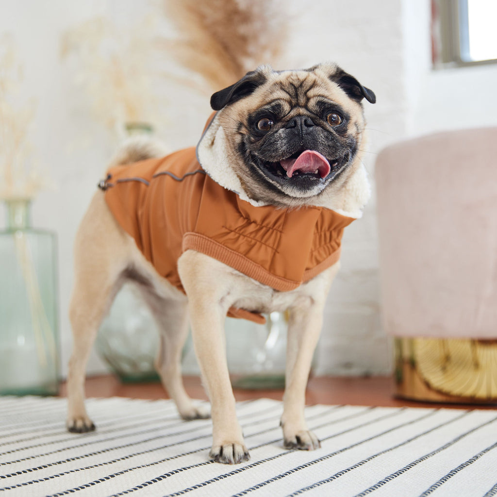 GF PET® Insulated Raincoat - Hazel