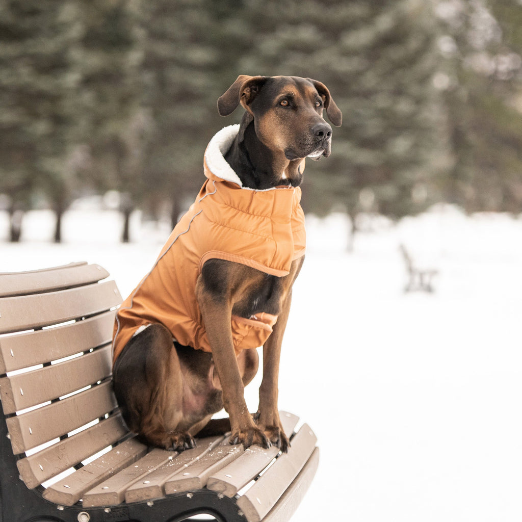 GF PET® Insulated Raincoat - Hazel