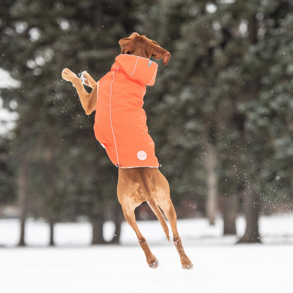 GF PET® Insulated Raincoat - Orange