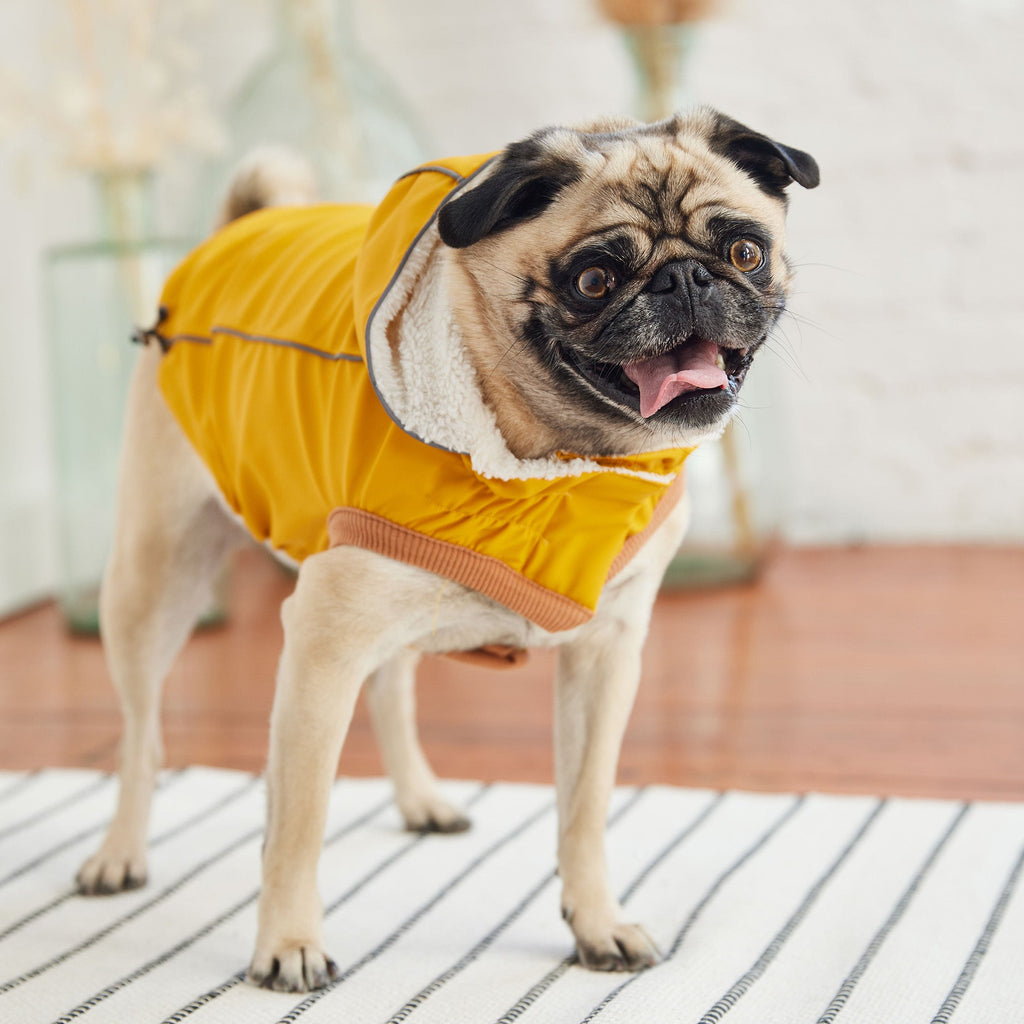 GF PET® Insulated Raincoat - Yellow