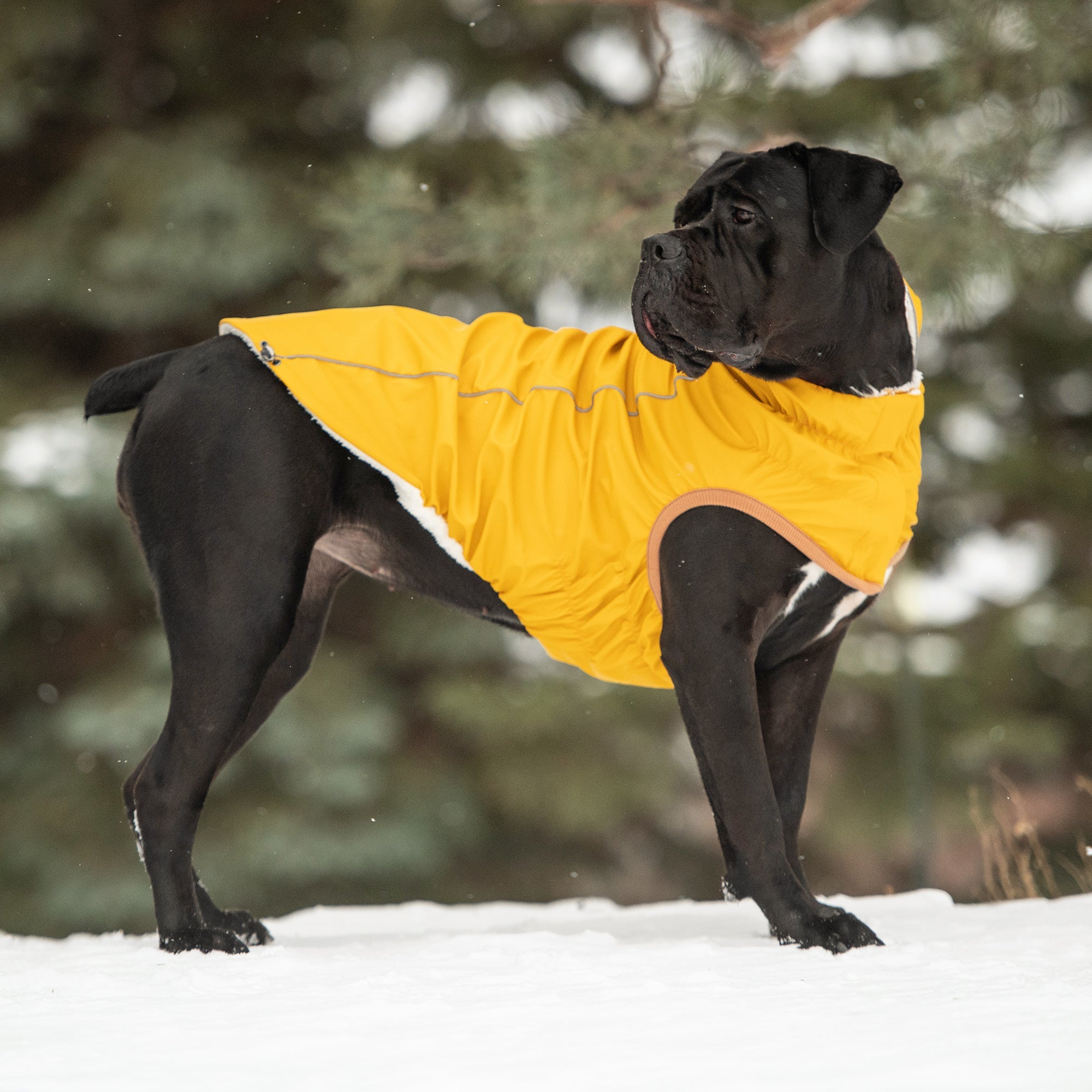 GF PET® Insulated Raincoat - Yellow