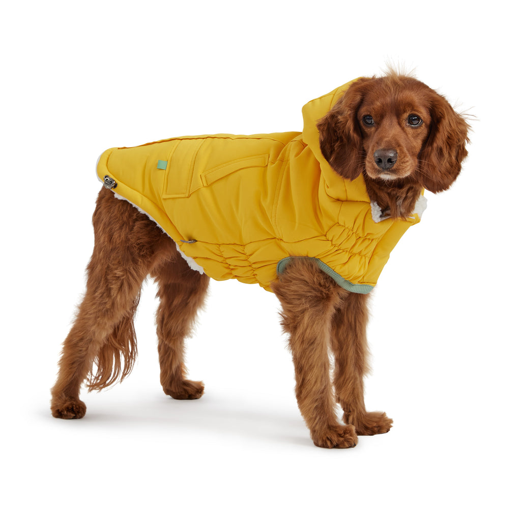 GF PET® Arctic Parka - Yellow