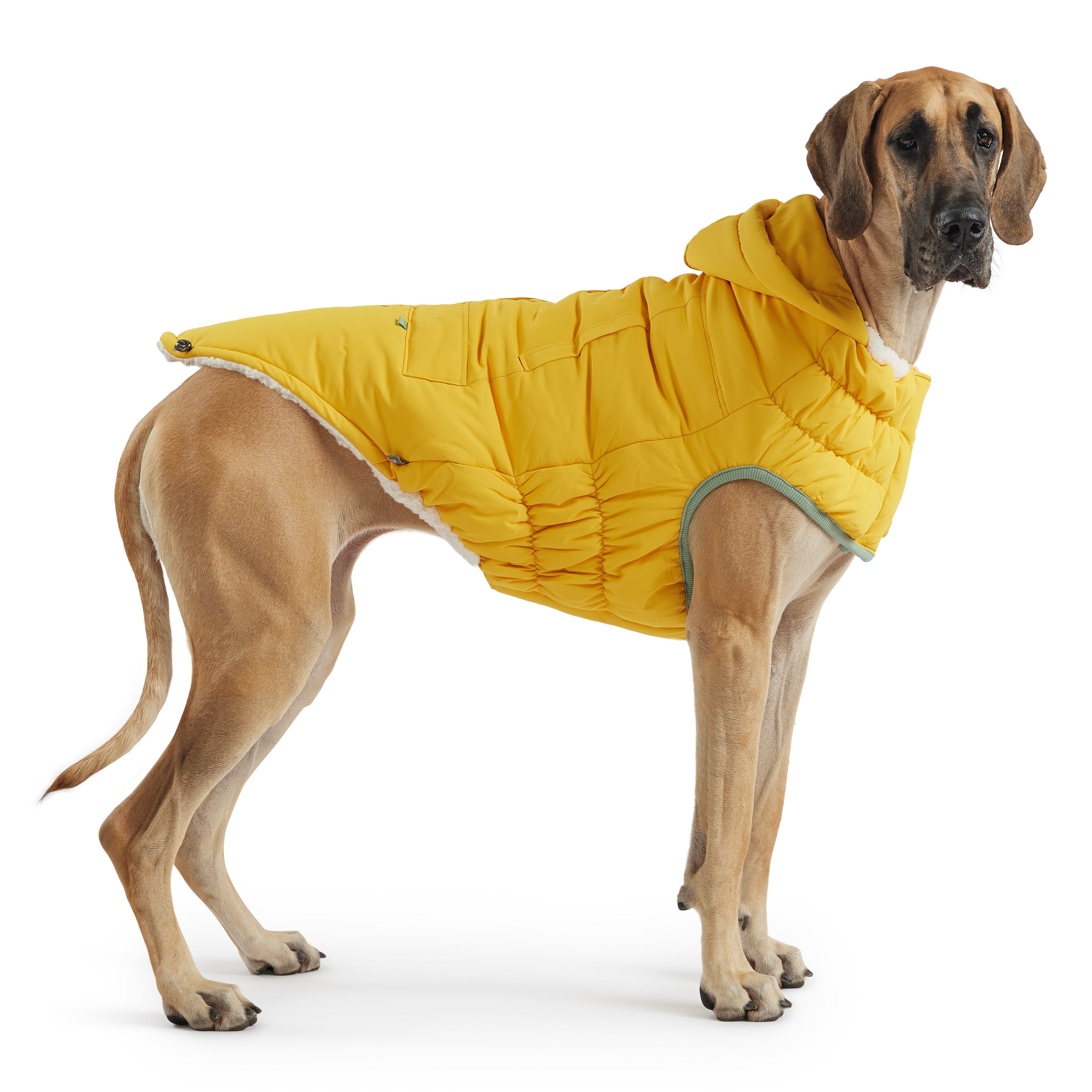 GF PET® Arctic Parka - Yellow