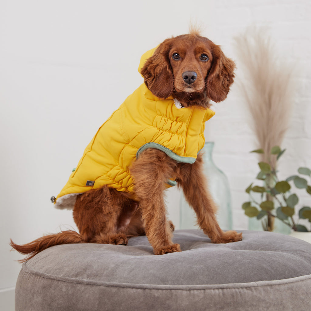 GF PET® Arctic Parka - Yellow