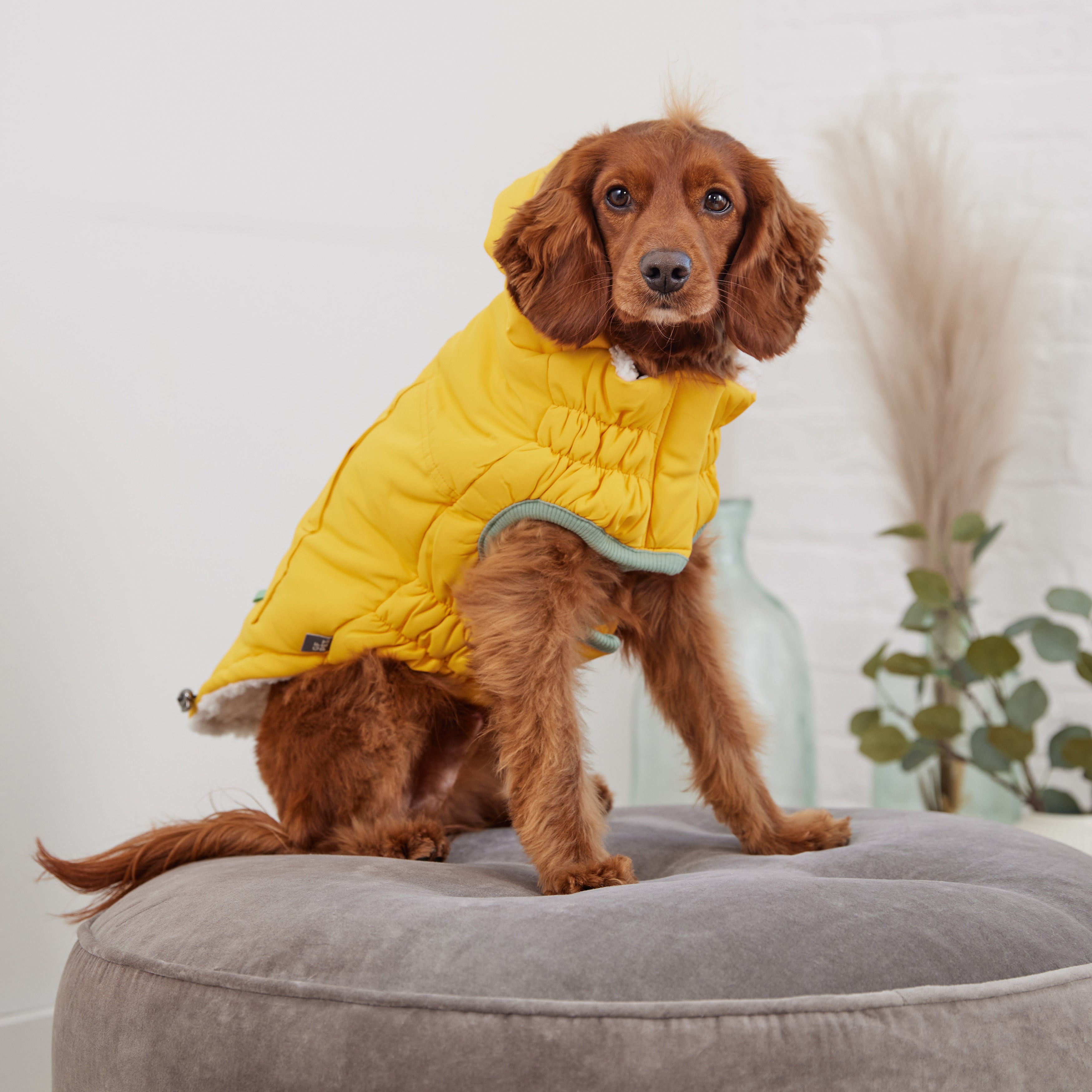 GF PET® Arctic Parka - Yellow