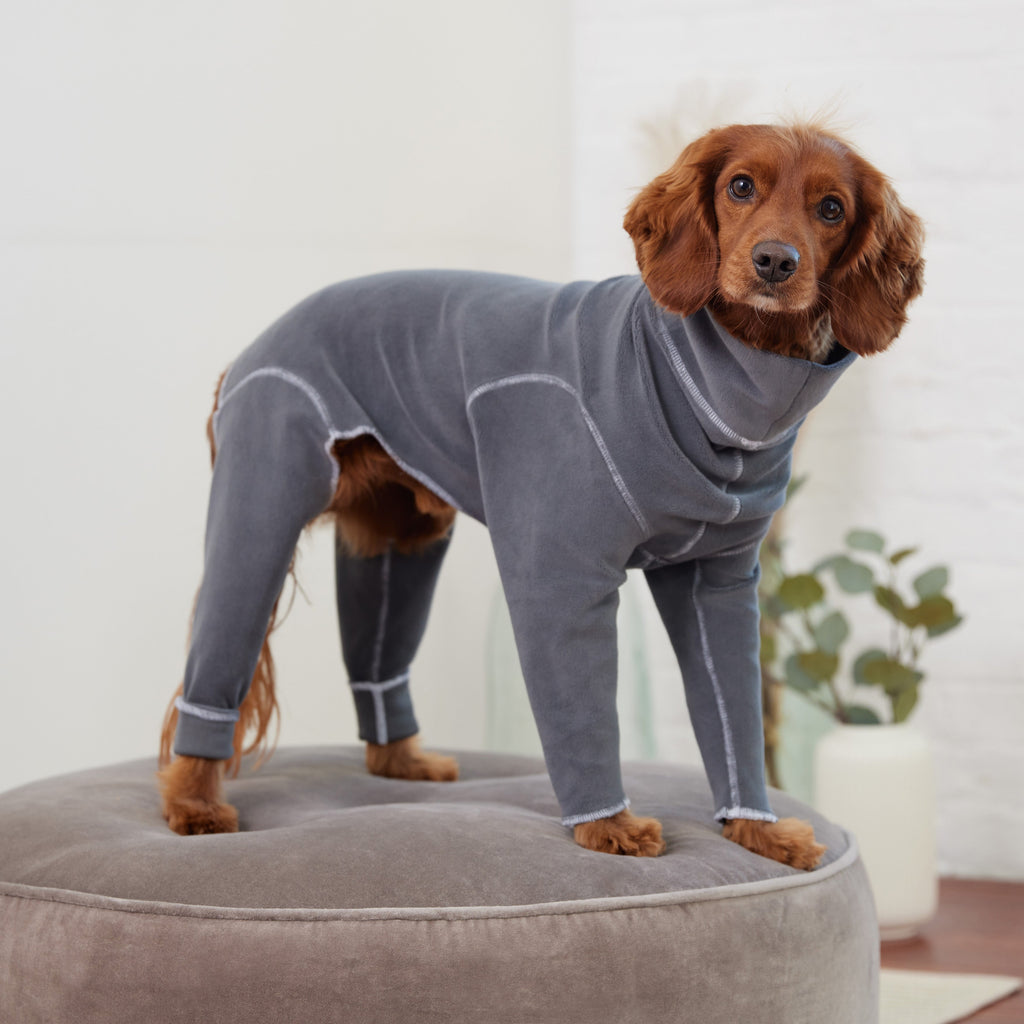 GF PET® Gondola Onesie - Charcoal