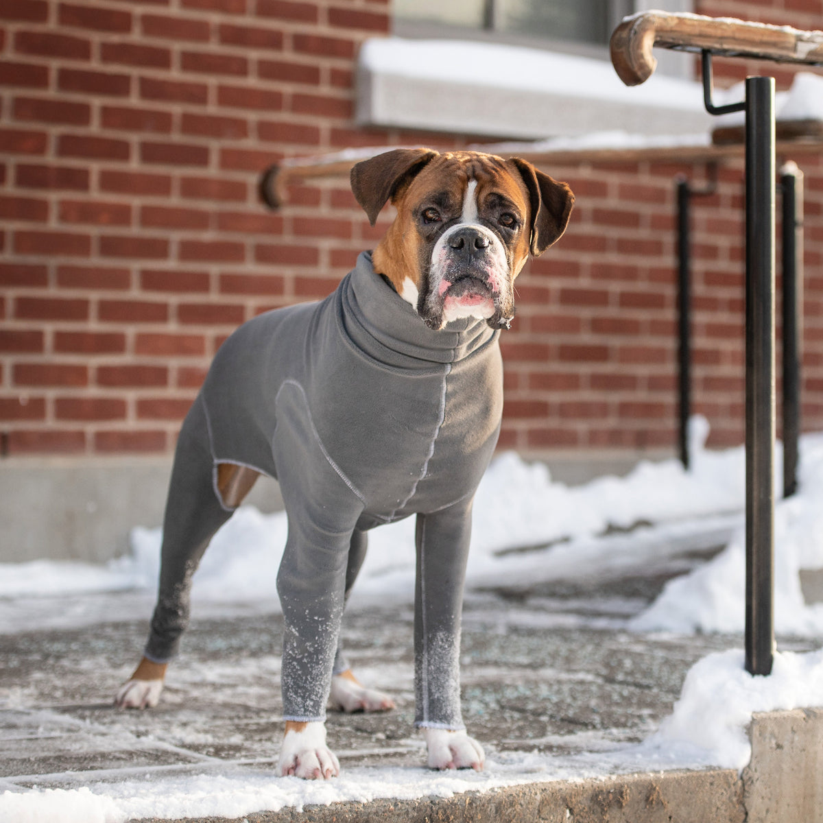 GF PET® Gondola Onesie - Charcoal