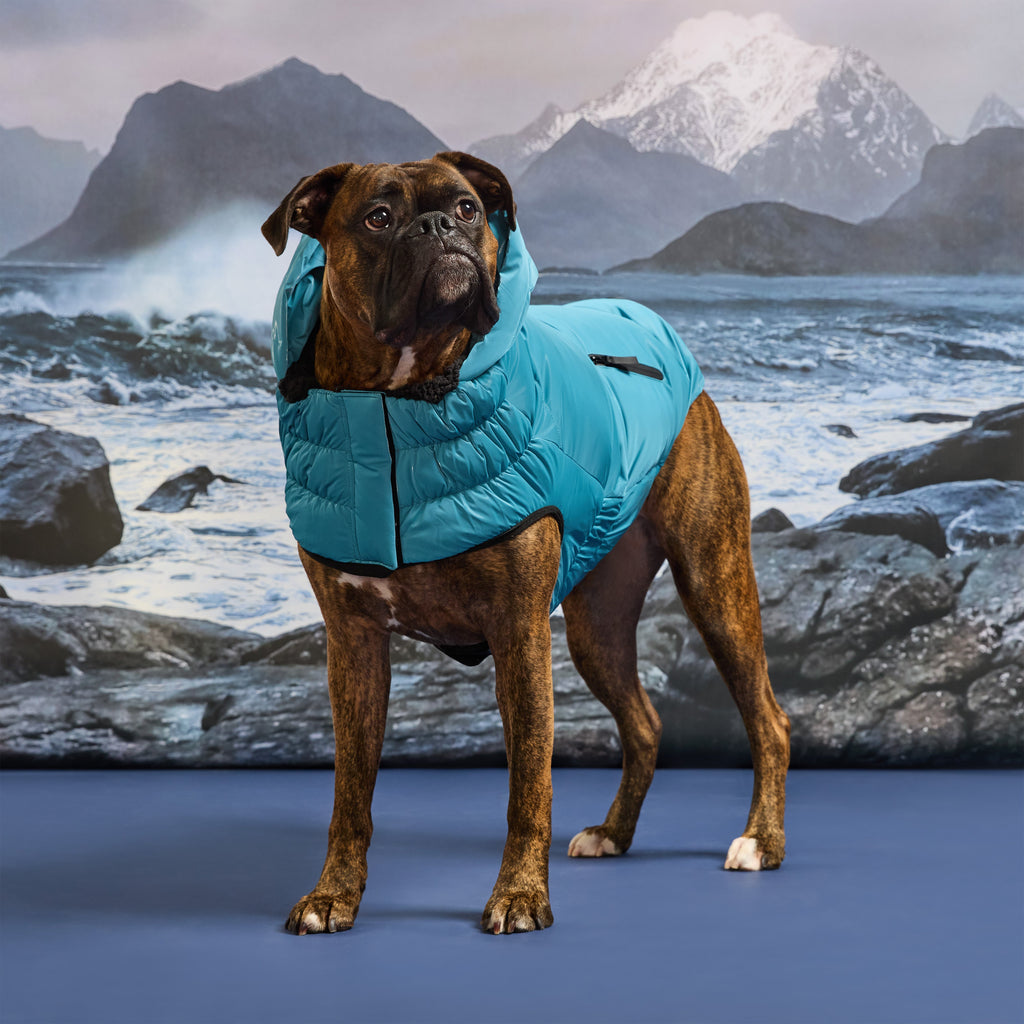 GF PET® Storm Glide Parka