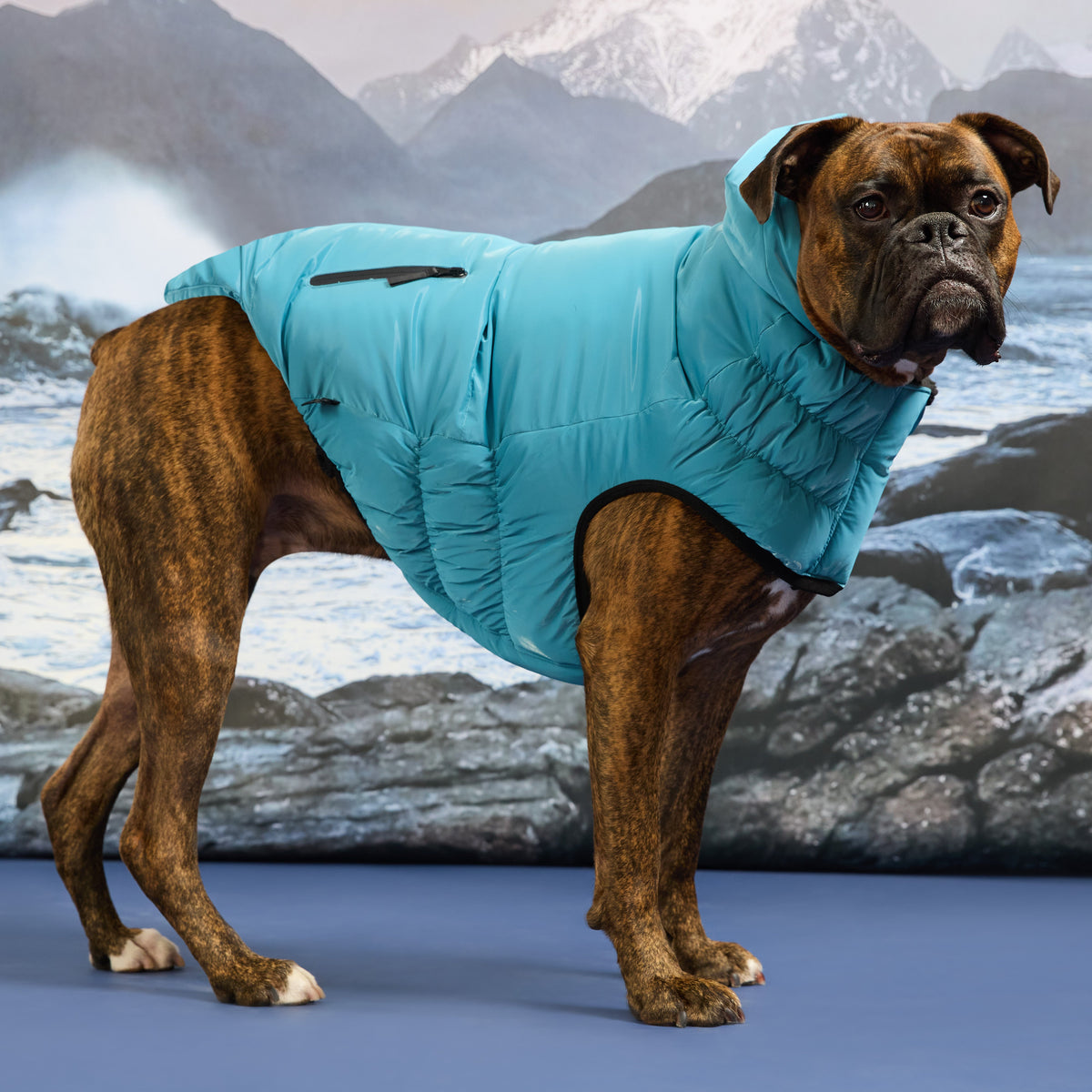 GF PET® Storm Glide Parka