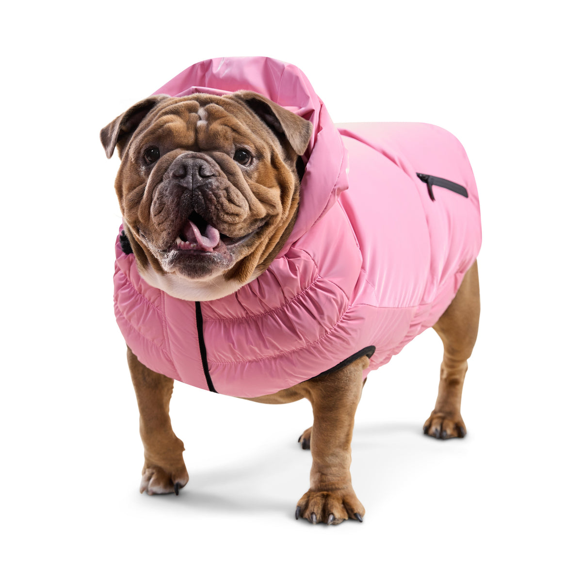 GF PET® Storm Glide Parka