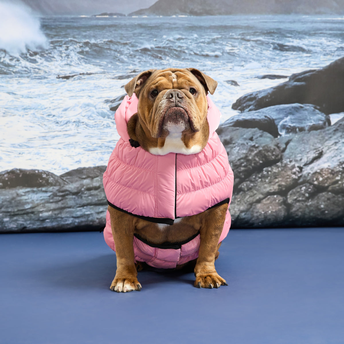 GF PET® Storm Glide Parka