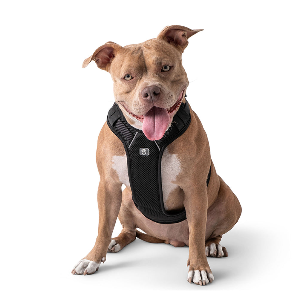 GF PET® Travel Harness - Black