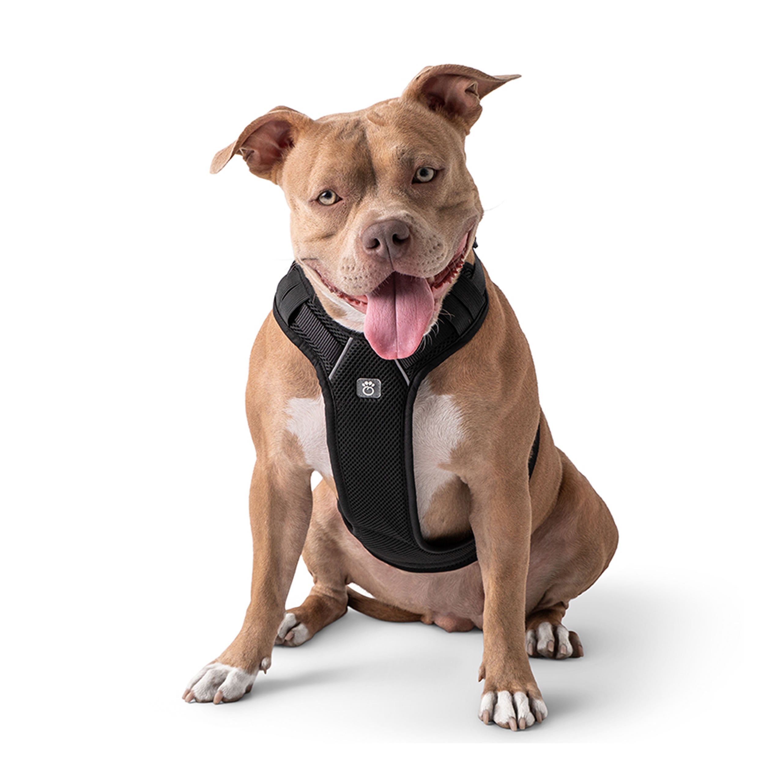 GF PET® Travel Harness - Black