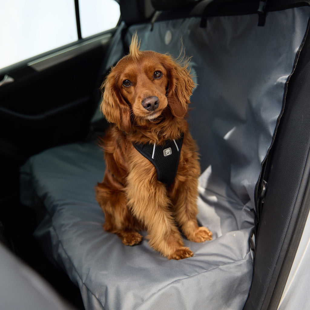 GF PET® Travel Harness - Black