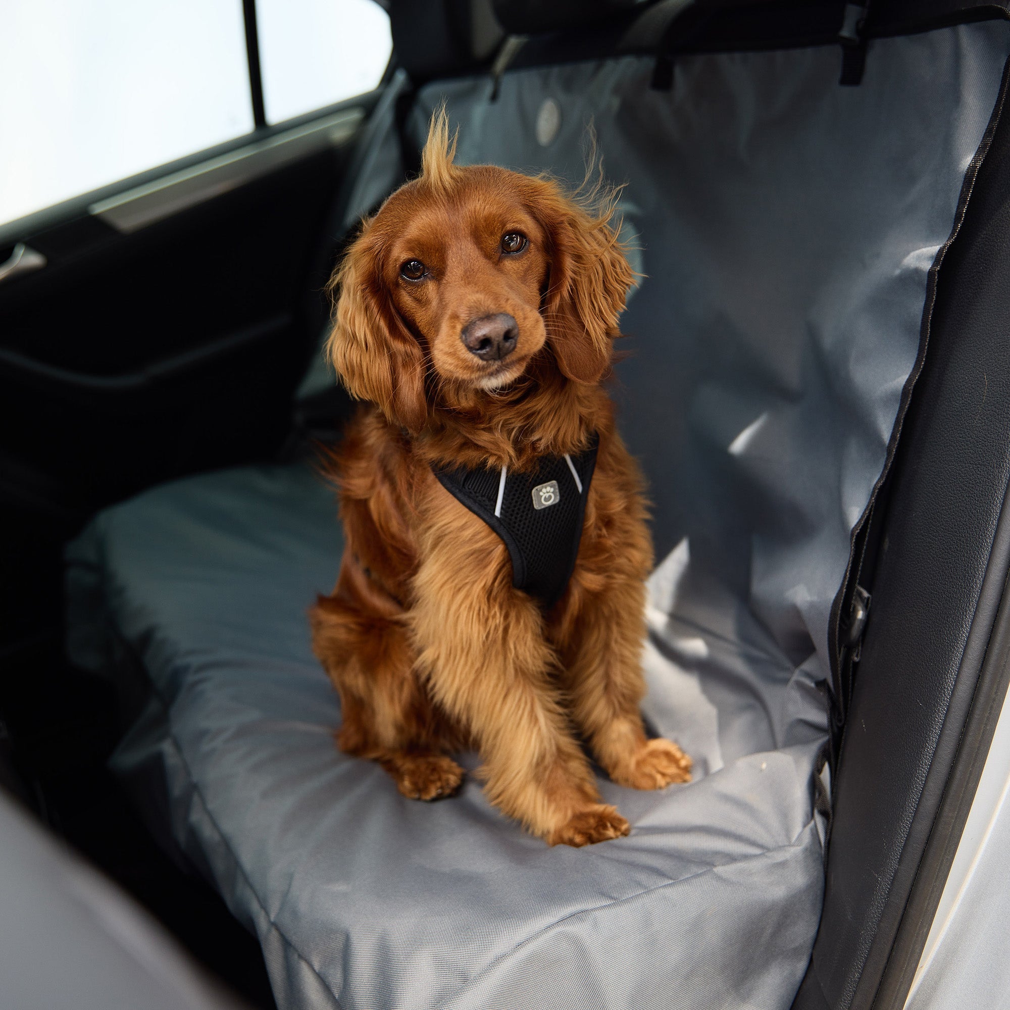 GF PET® Travel Harness - Black