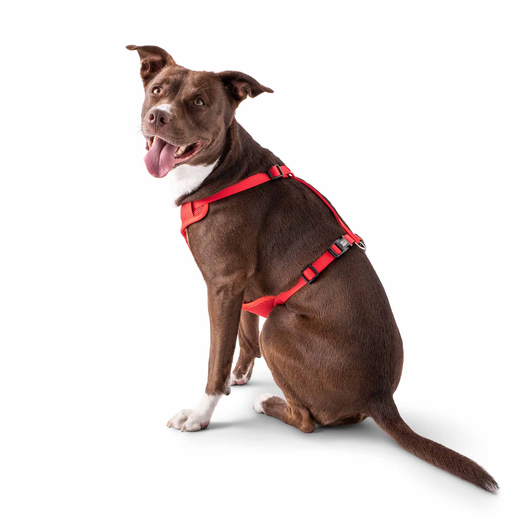 GF PET® Travel Harness - Red
