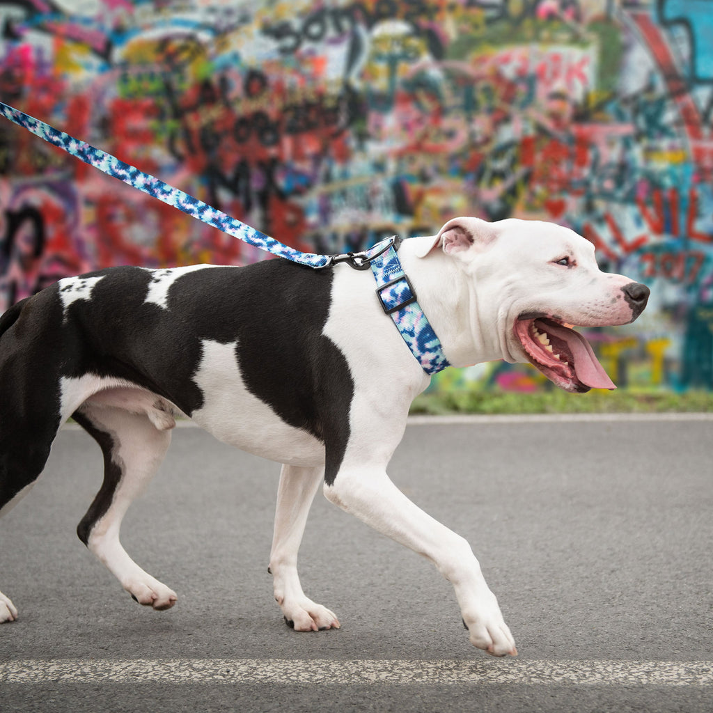 GF PET® Printed Collar - Tie Dye