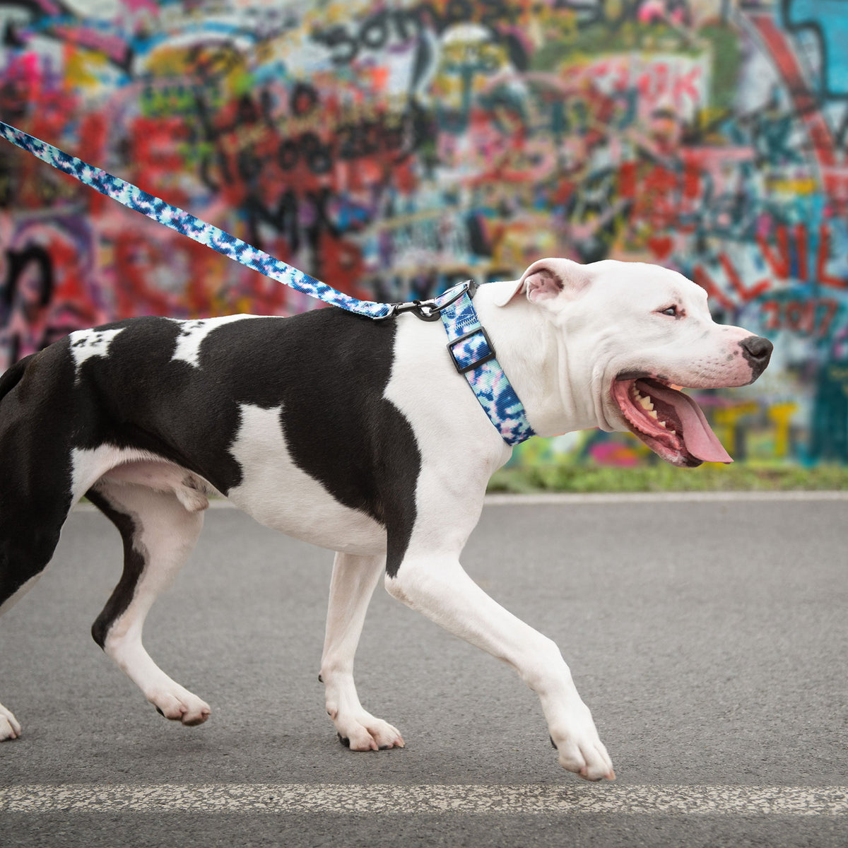 GF PET® Printed Collar - Tie Dye