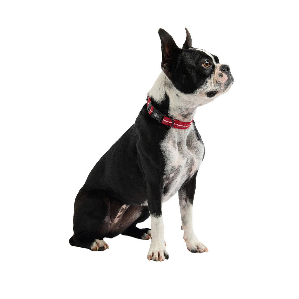 GF PET® Reflective Collar - Red