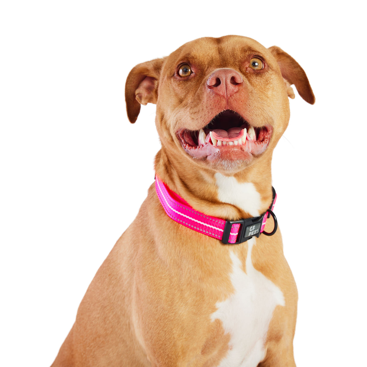 GF PET® Reflective Collar - Neon Pink
