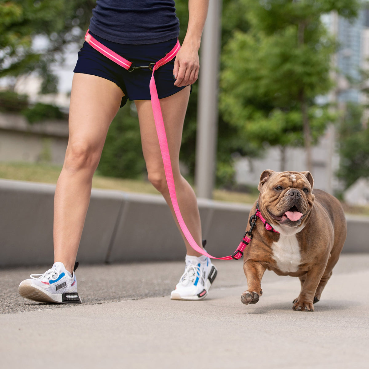 The GF PET® Reflective Leash - EEZY-6 - Neon Pink