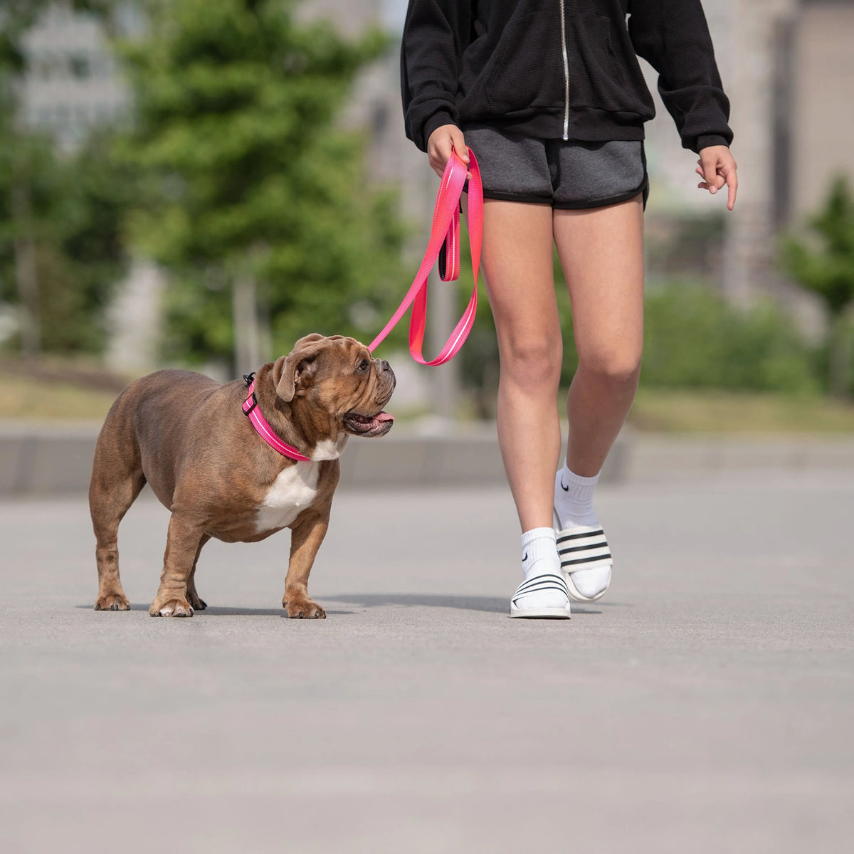 The GF PET® Reflective Leash - Neon Pink