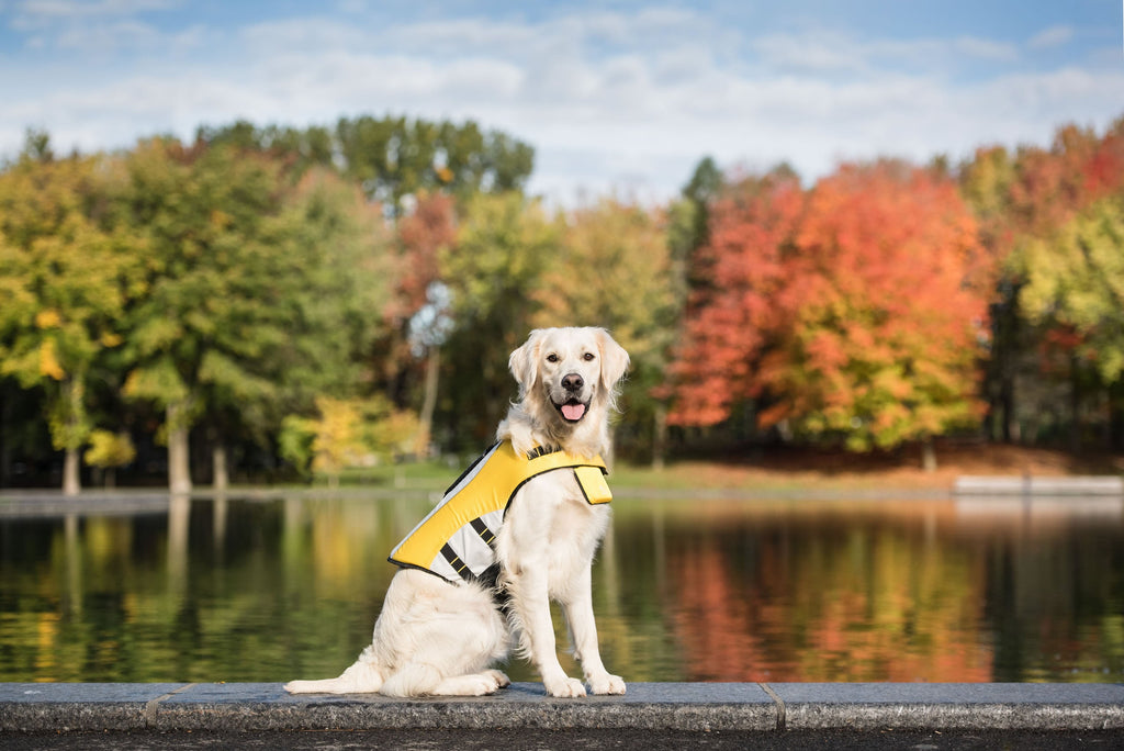 GF PET® Life Vest - Dog Life Jacket