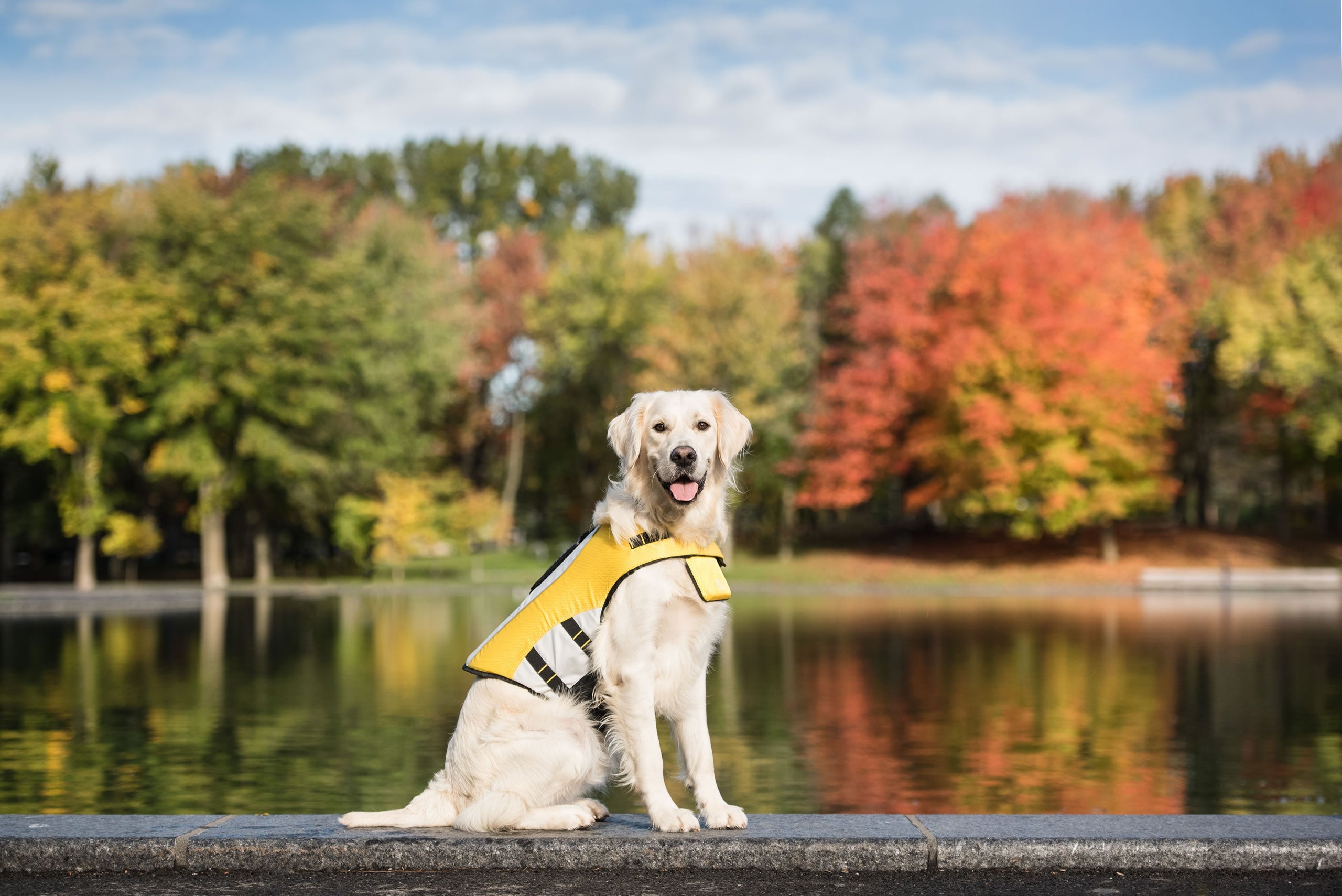 GF PET® Life Vest - Dog Life Jacket