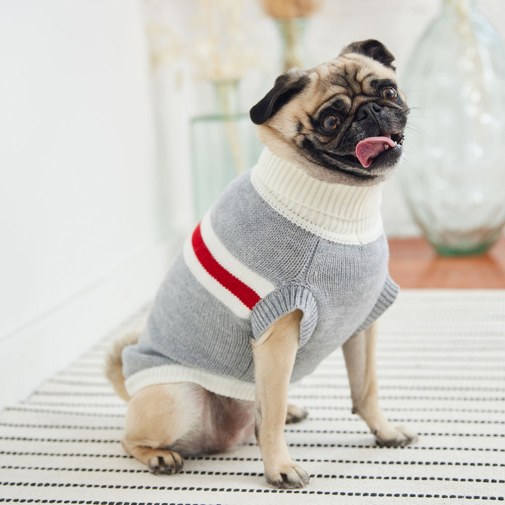 GF PET® Trekking Sweater - Grey Mix