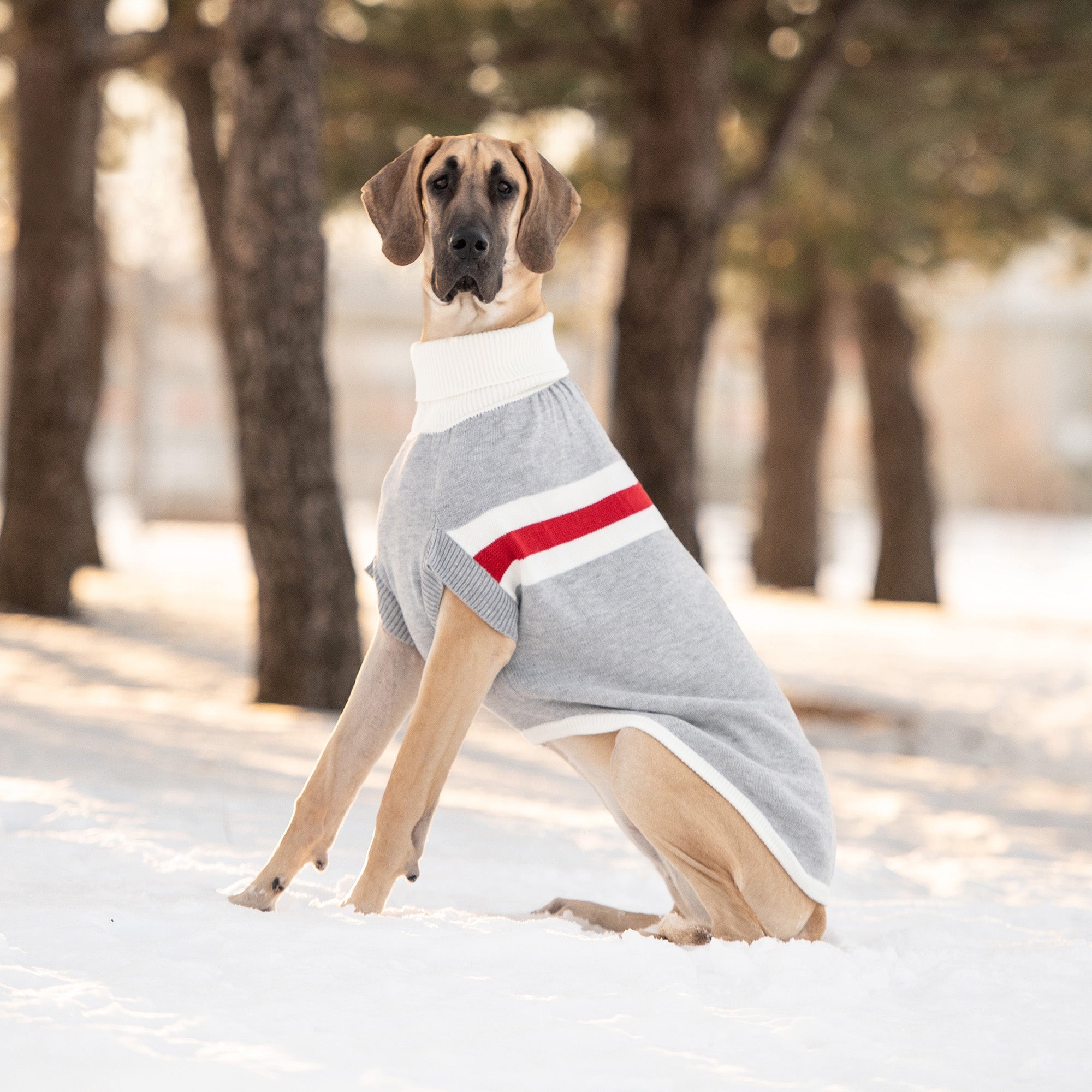 GF PET® Trekking Sweater - Grey Mix