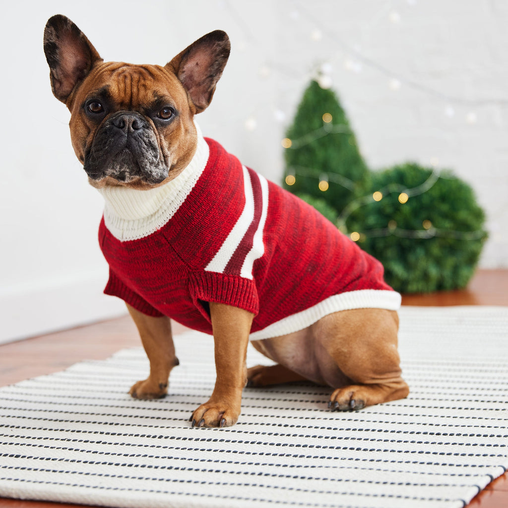GF PET® Trekking Sweater - Red