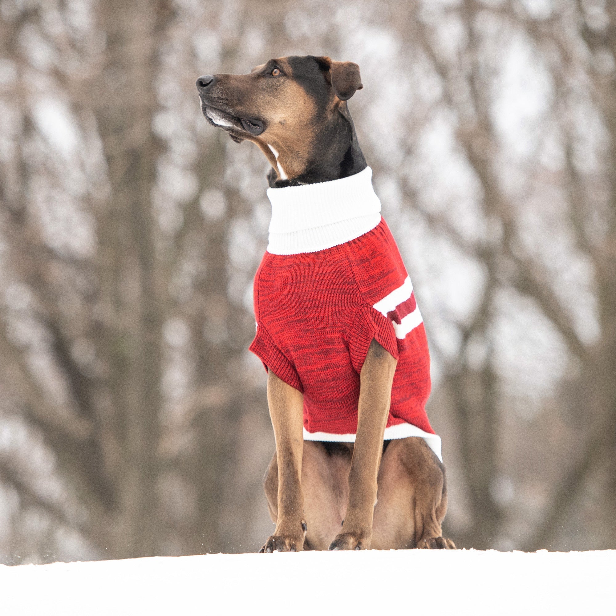 GF PET® Trekking Sweater - Red