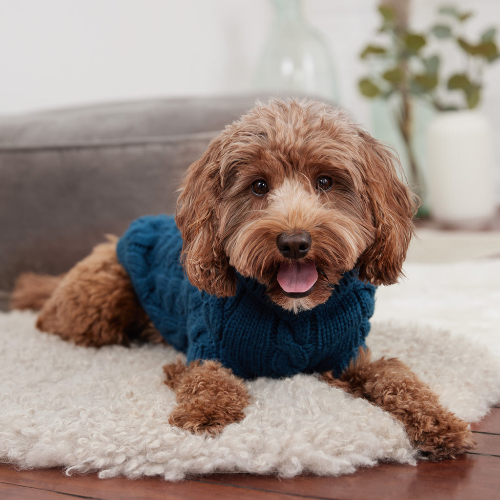 GF PET® Chalet Sweater - Dark Teal