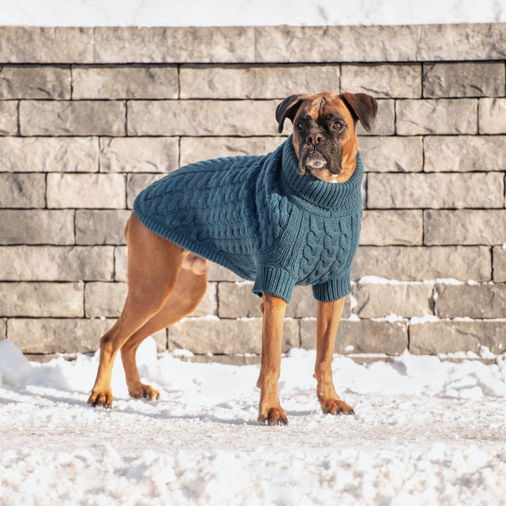 GF PET® Chalet Sweater - Dark Teal