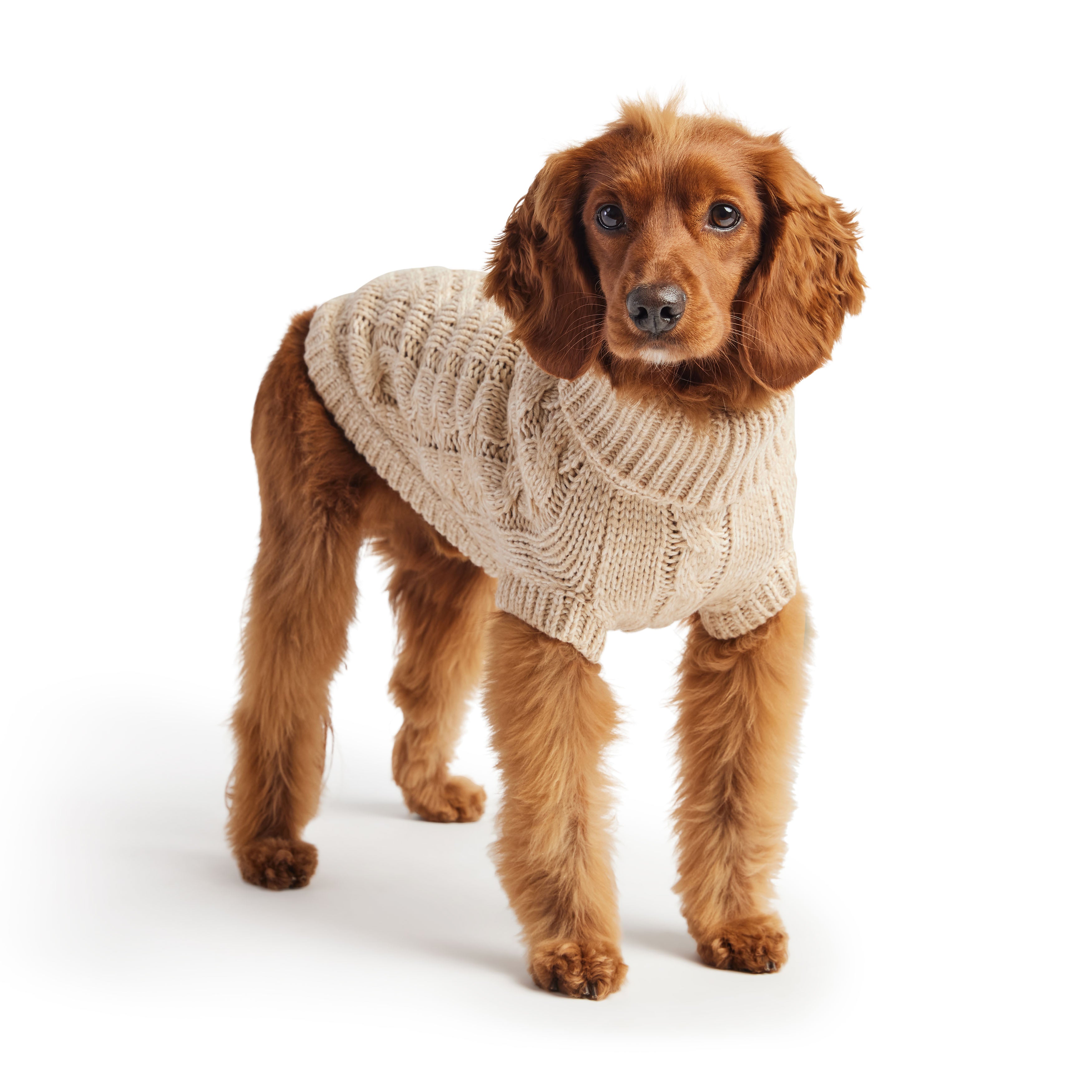 GF PET® Chalet Sweater - Oatmeal