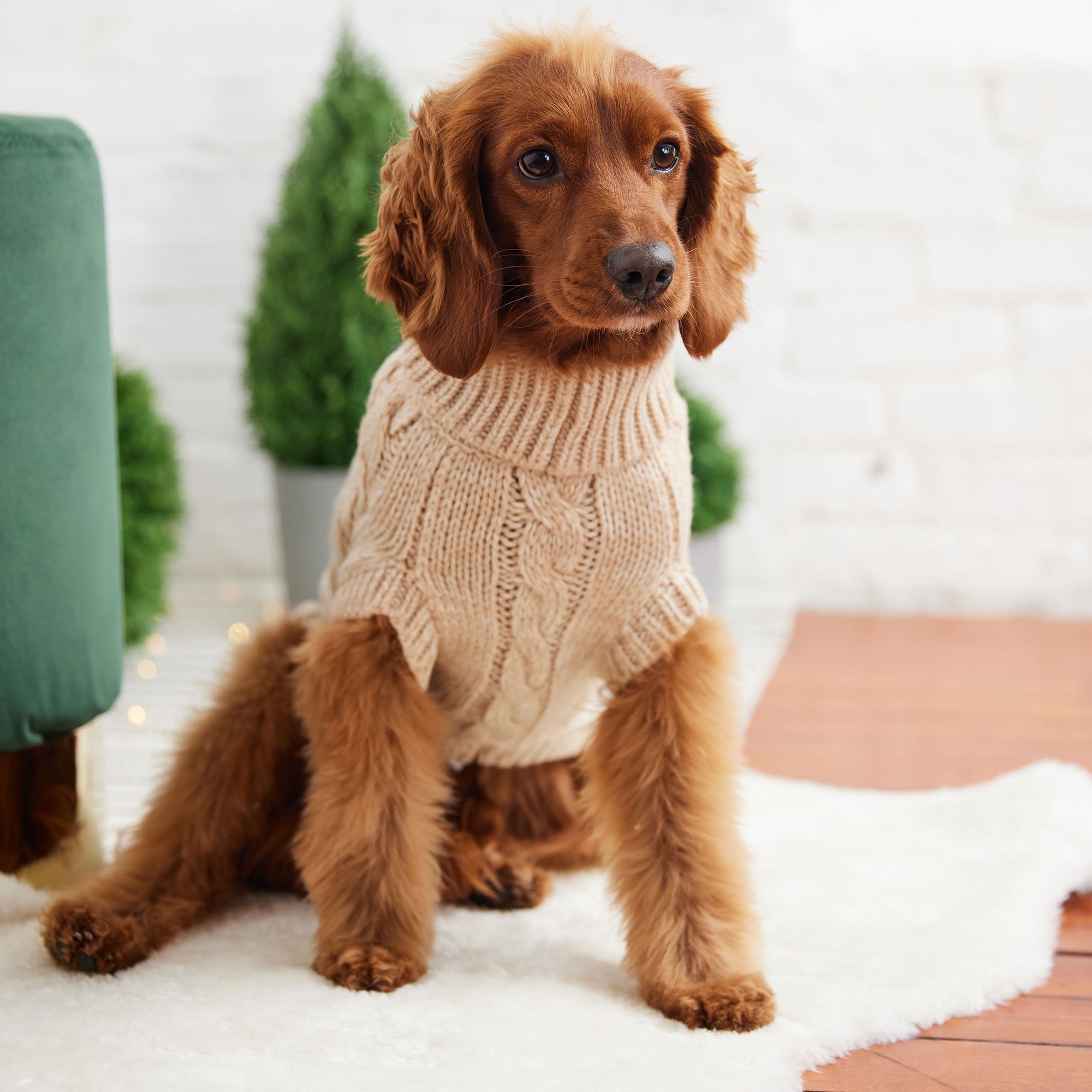 GF PET® Chalet Sweater - Oatmeal