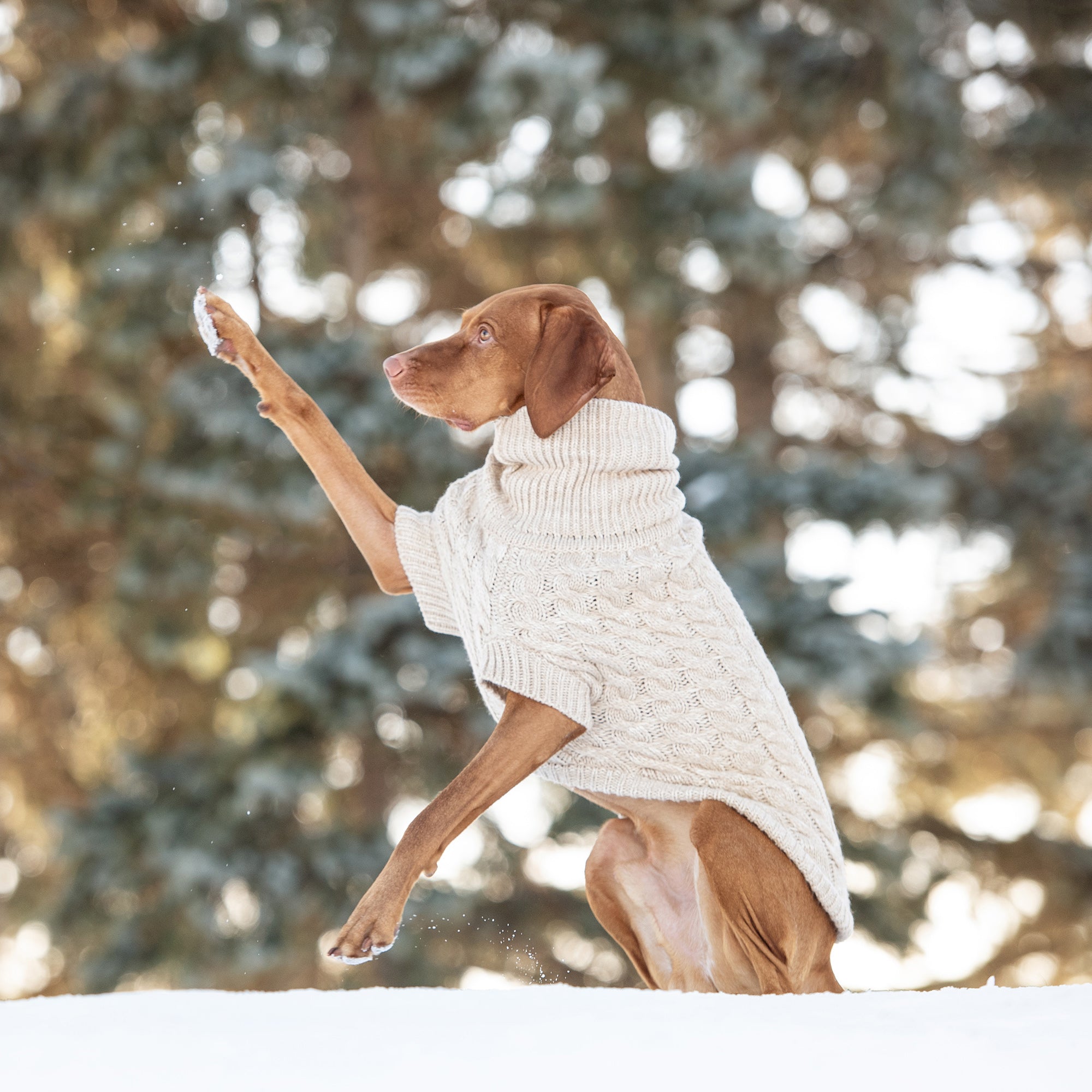 GF PET® Chalet Sweater - Oatmeal