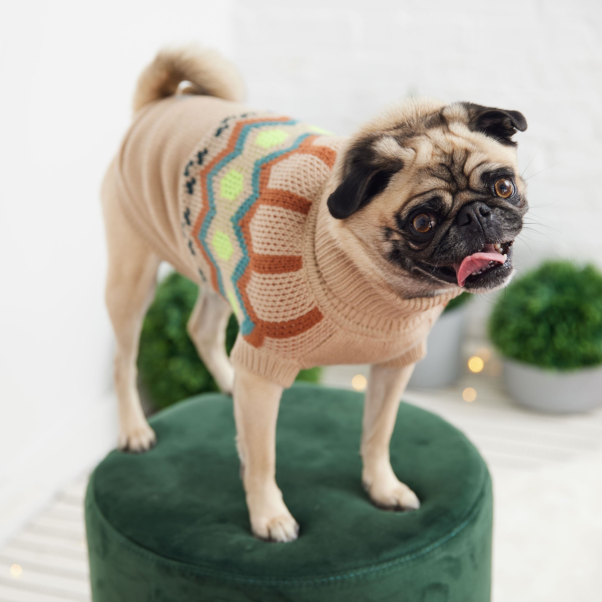 GF PET® Heritage Sweater - Sand