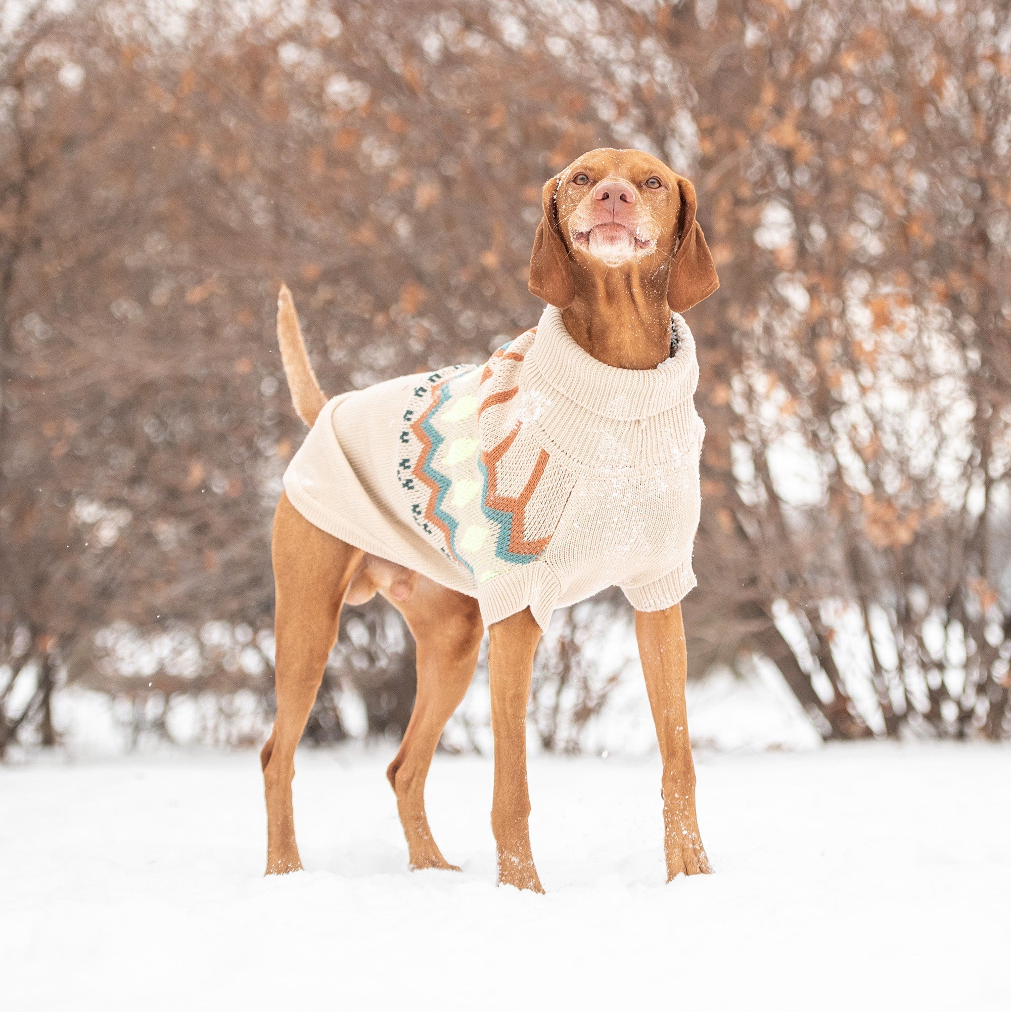 GF PET® Heritage Sweater - Sand