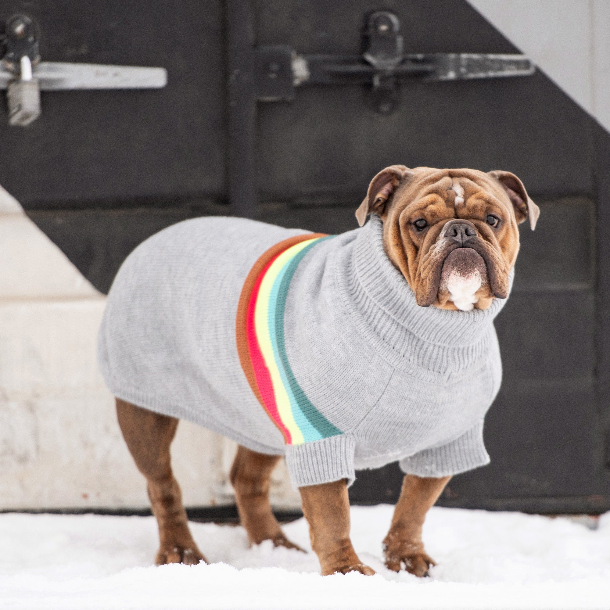 GF PET® Retro Sweater - Grey Mix