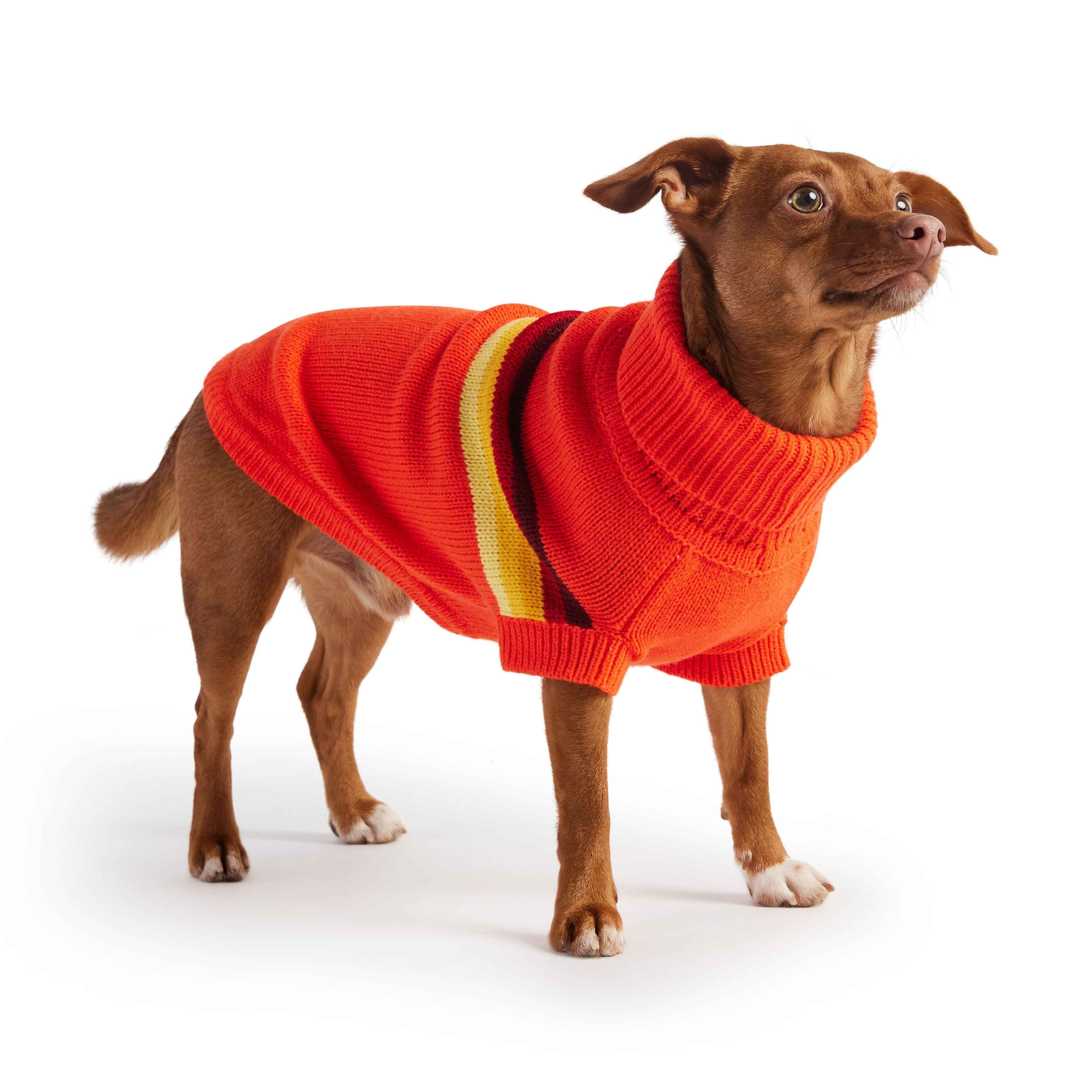GF PET® Retro Sweater - Orange