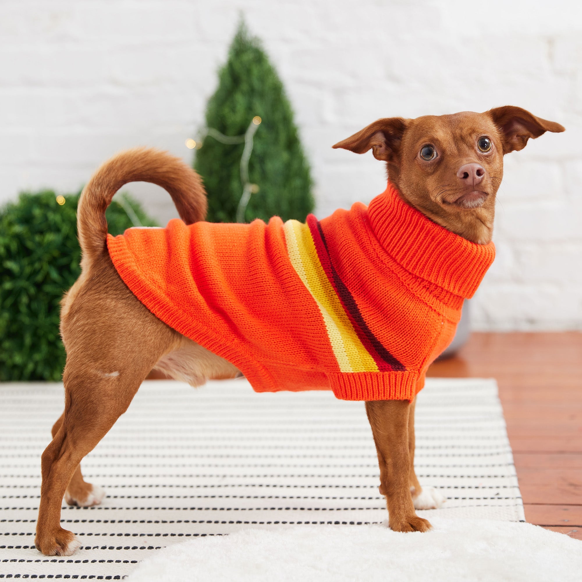 GF PET® Retro Sweater - Orange